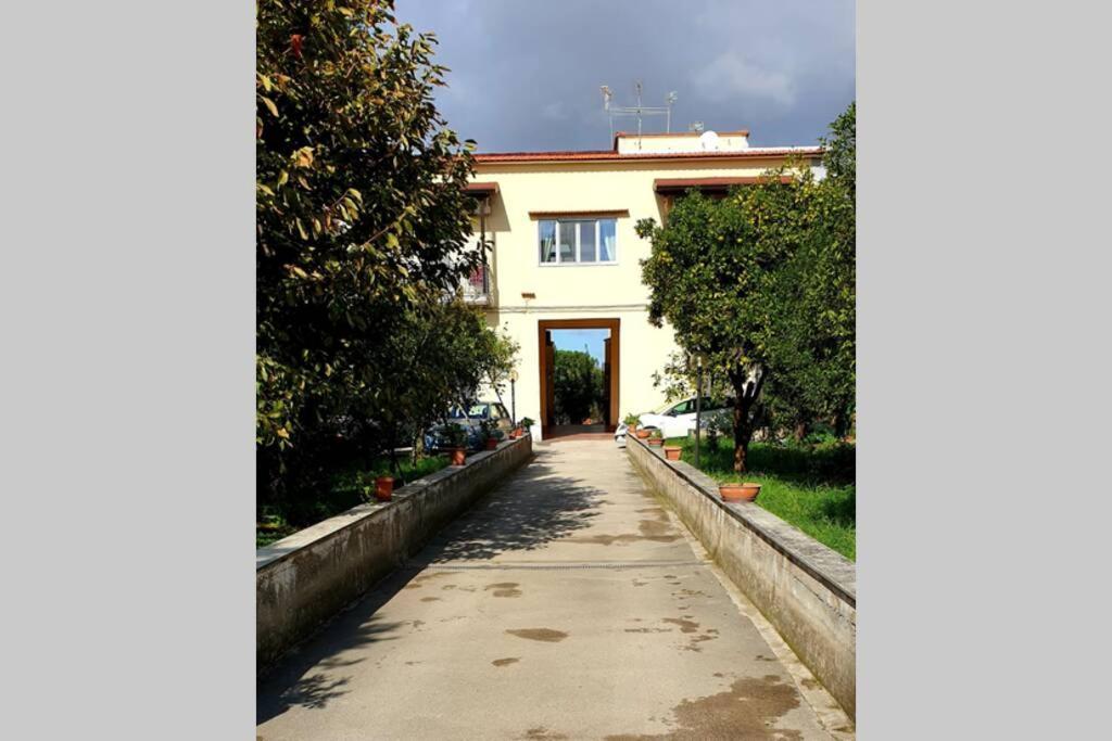 Appartamento In Villa Alle Falde Del Vesuvio Neapol Exteriér fotografie